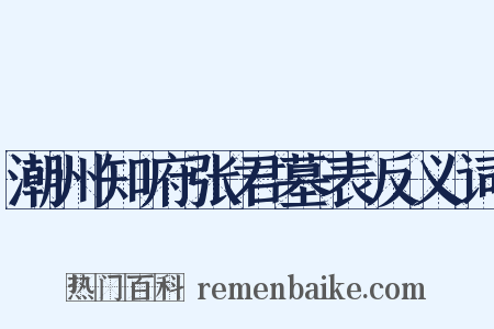 潮州知府张君墓表反义词是什么意思的图片